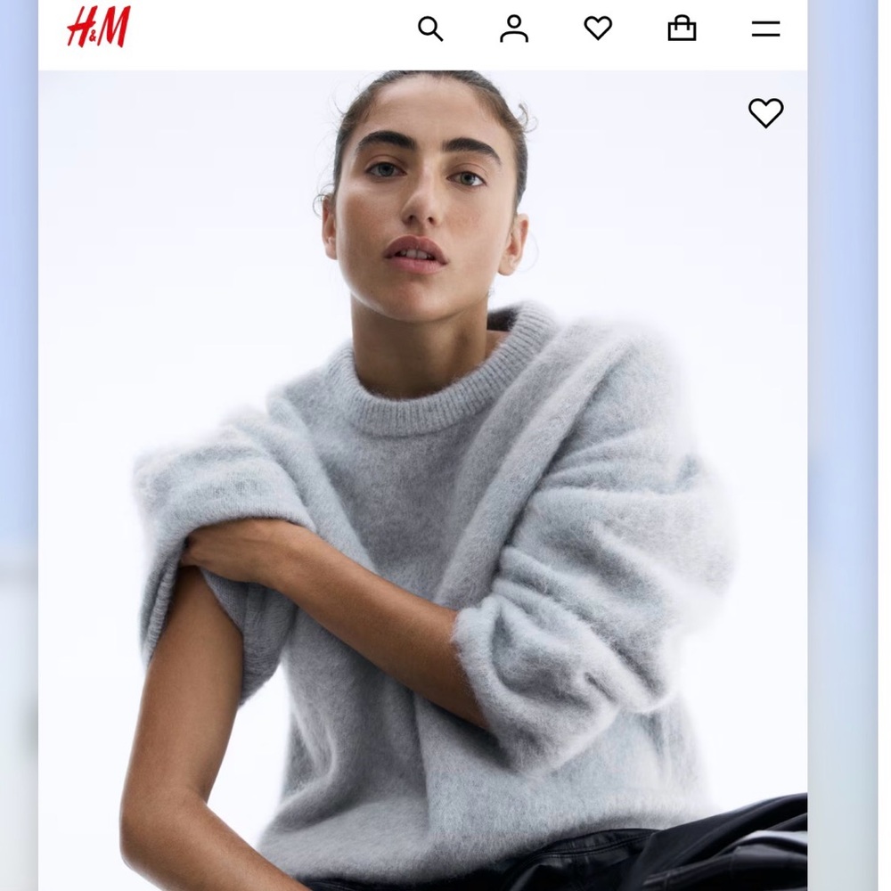 H&M Light Gray Mohair Sweater Cropped NWOT